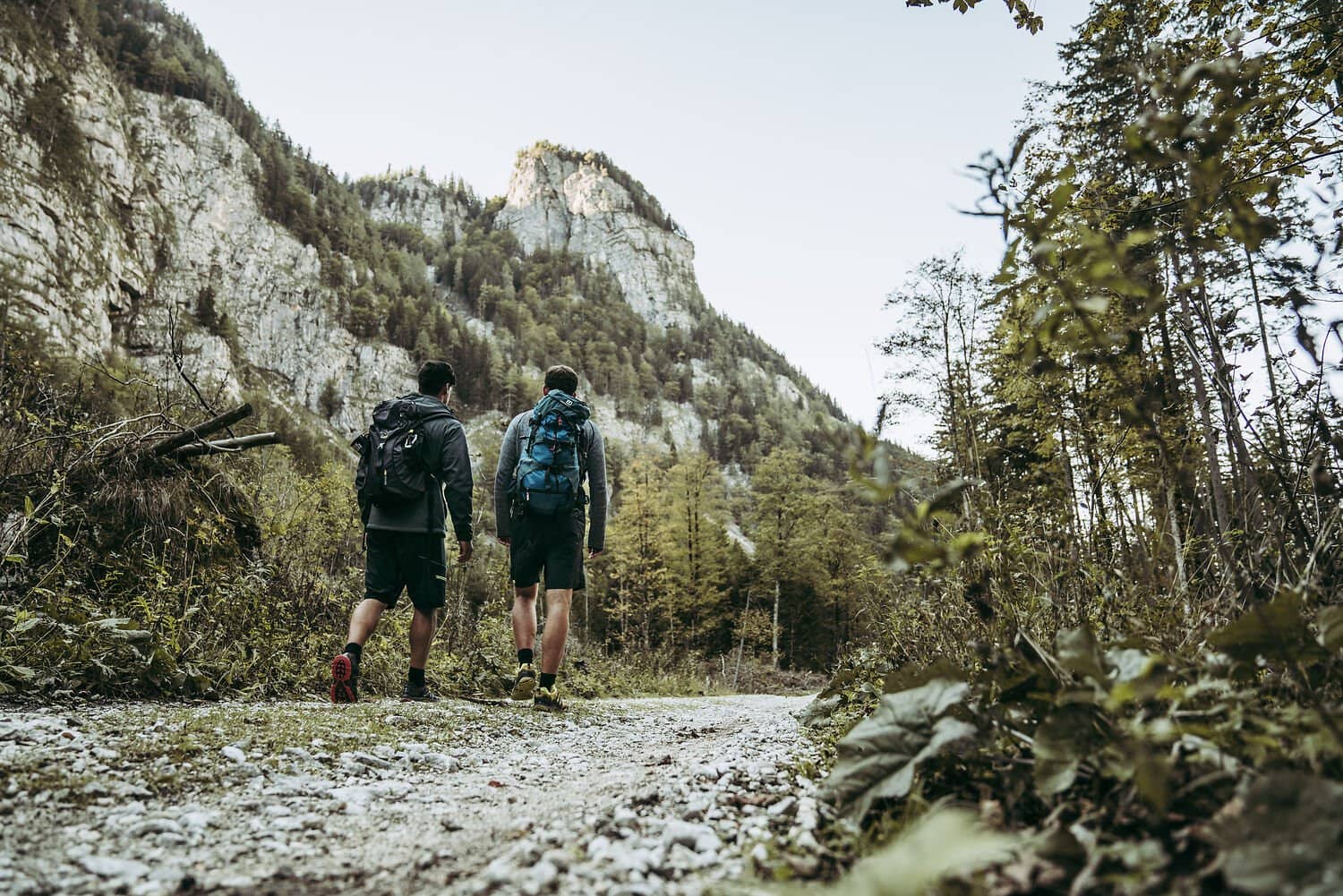 Zwei Wanderer mit Rucksäcken gehen auf dem Luchs Trail durch bewaldetes Gelände, im Hintergrund eine Felswand des Dürrenstein-Gebiets.