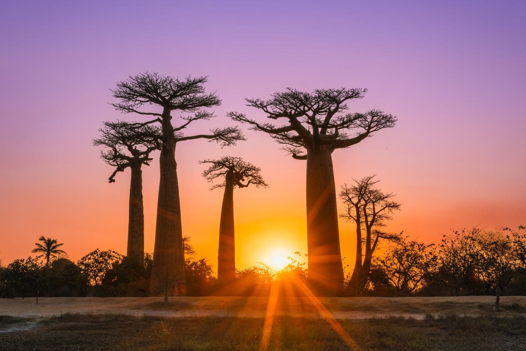 Magisches Madagaskar: 10 Orte, die wie nicht von dieser Welt wirken