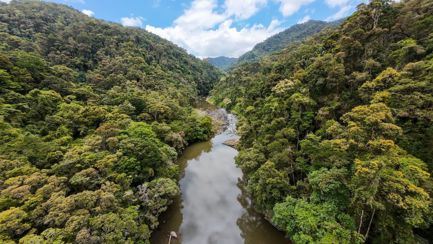 Bergregenwald und Fluss im Ranomafana-Nationalpark auf Madagaskar