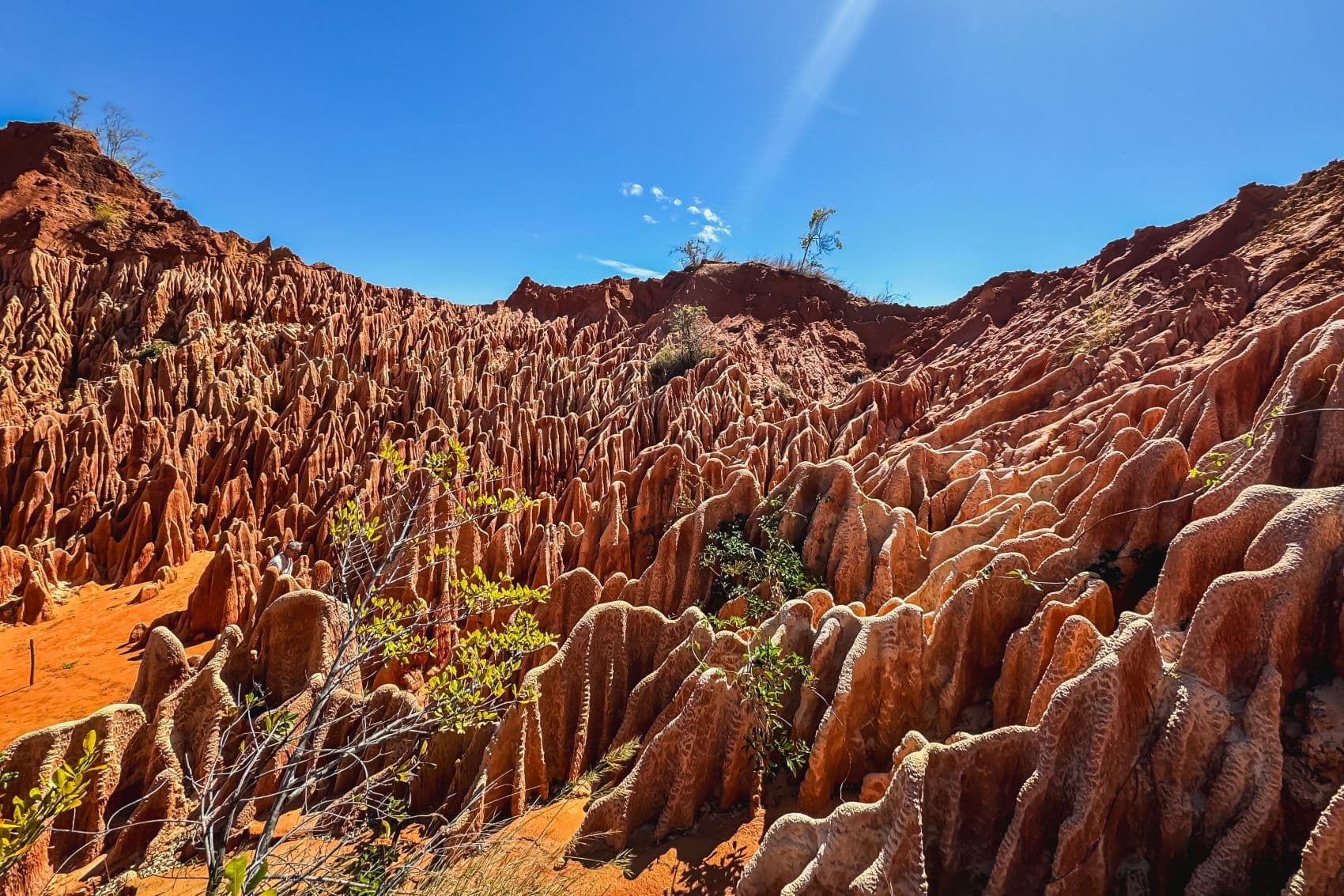 Rote Felsformationen der Tsingy Rouge im Norden Madagaskars