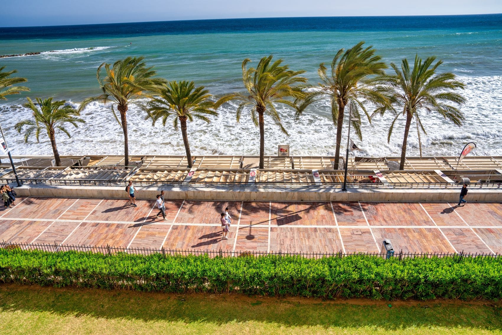 Palmen an der Strandpromenade von Marbella mit Blick auf das Mittelmeer
