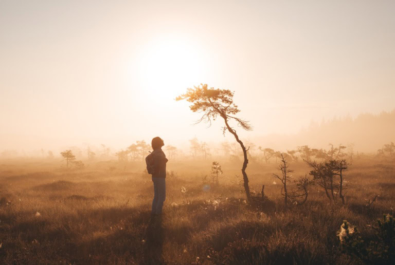 »Quietchella«: Finnland lädt im Oktober zum Festival der Stille ein
