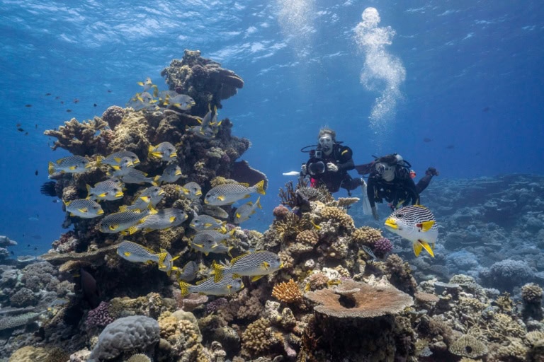 Tauchen am Great Barrier Reef: einmal im Leben durch dieses Riff