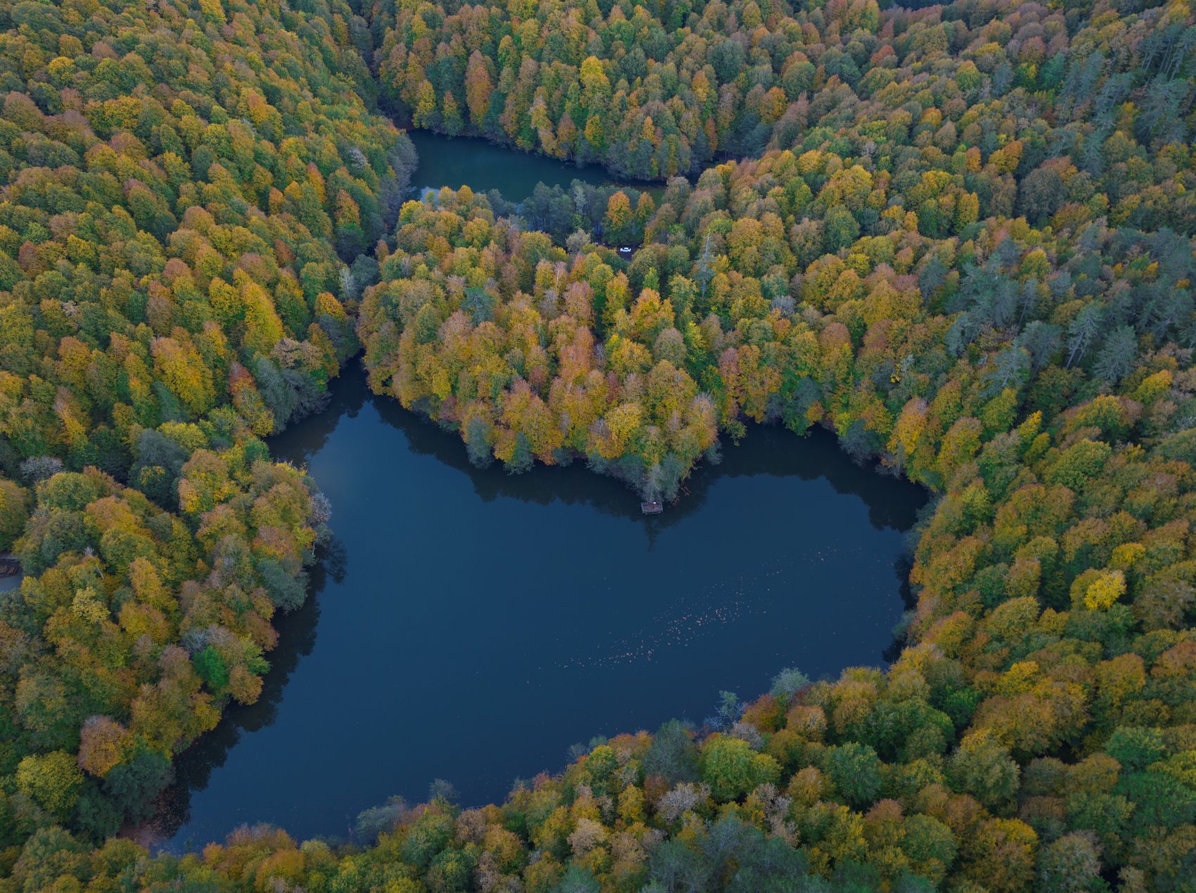 Luftaufnahme der Seen und herbstlichen Wälder im Yedigöller-Nationalpark bei Bolu in der Türkei