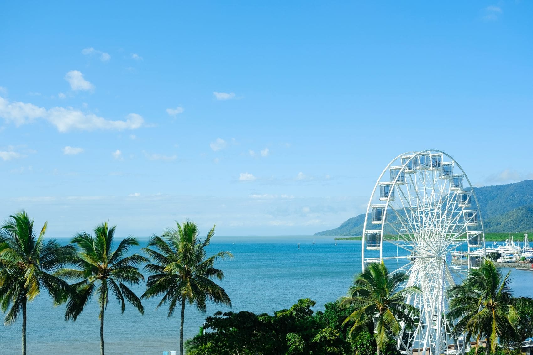 Riesenrad an der Esplanade von Cairns mit Palmen und Meer