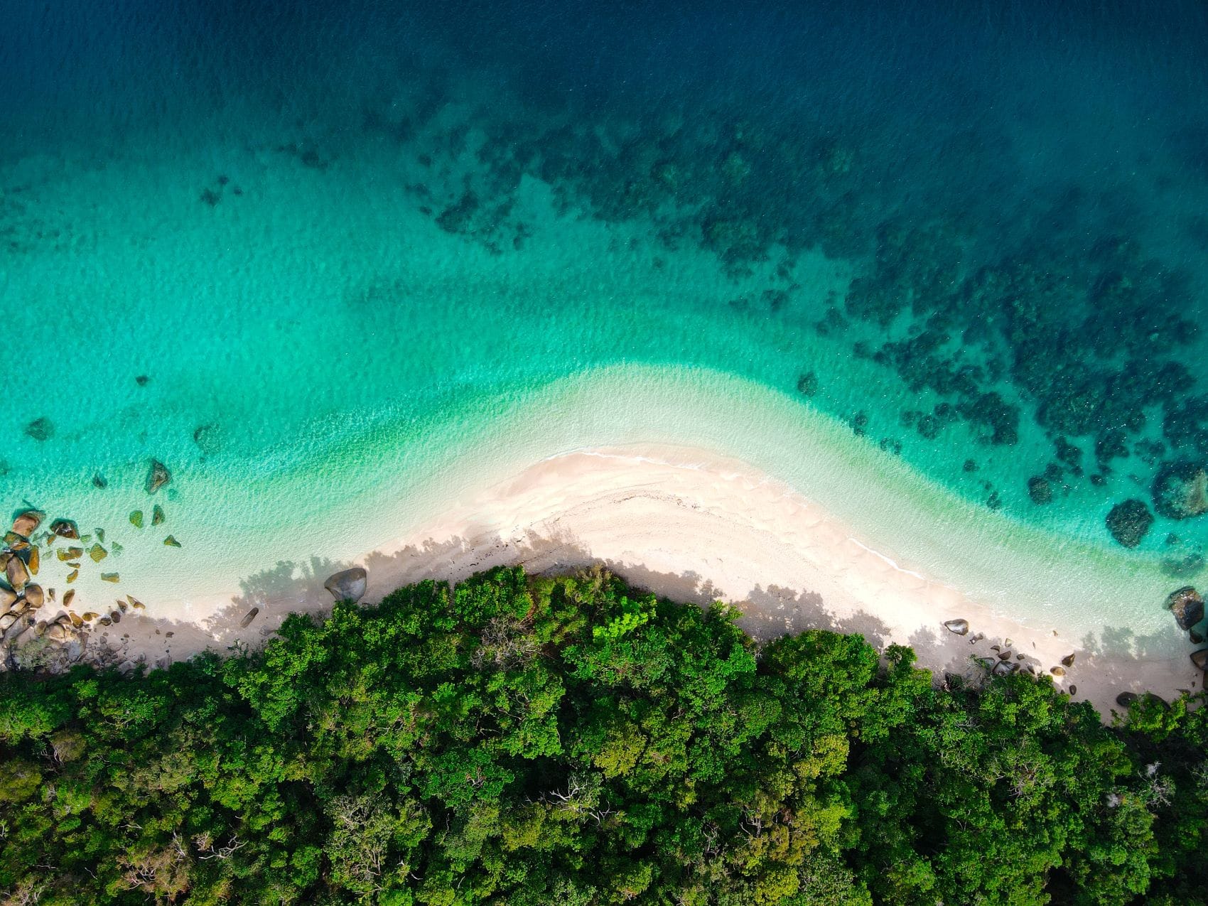 Luftaufnahme eines Strandes auf Fitzroy Island mit türkisfarbenem Wasser und dichtem Grün