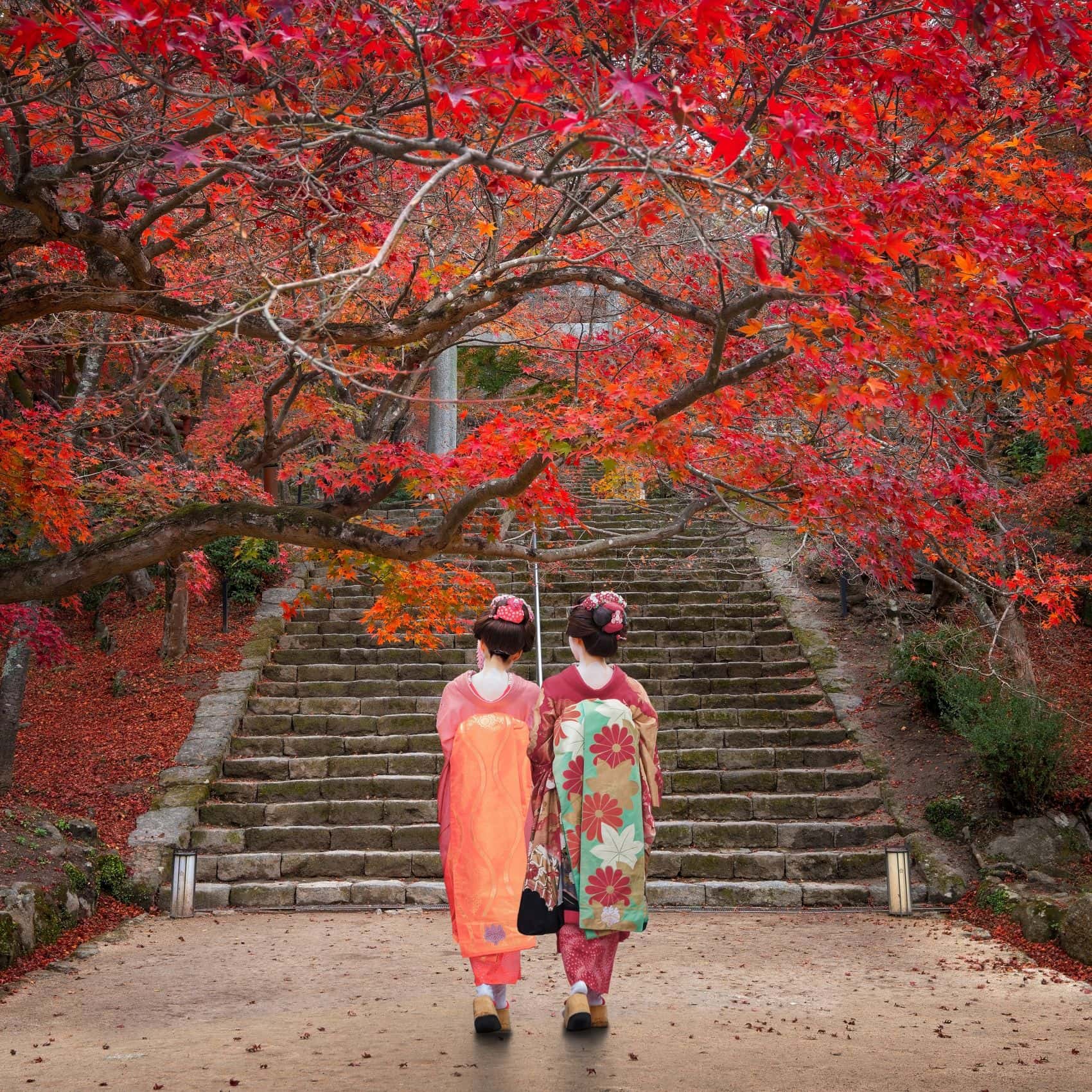 Zwei Frauen in traditionellen Kimonos unter roten Ahornbäumen an einer Steintreppe in Japan