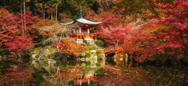 Asien im Herbst: Diese 6 Reiseziele sind jetzt besonders schön