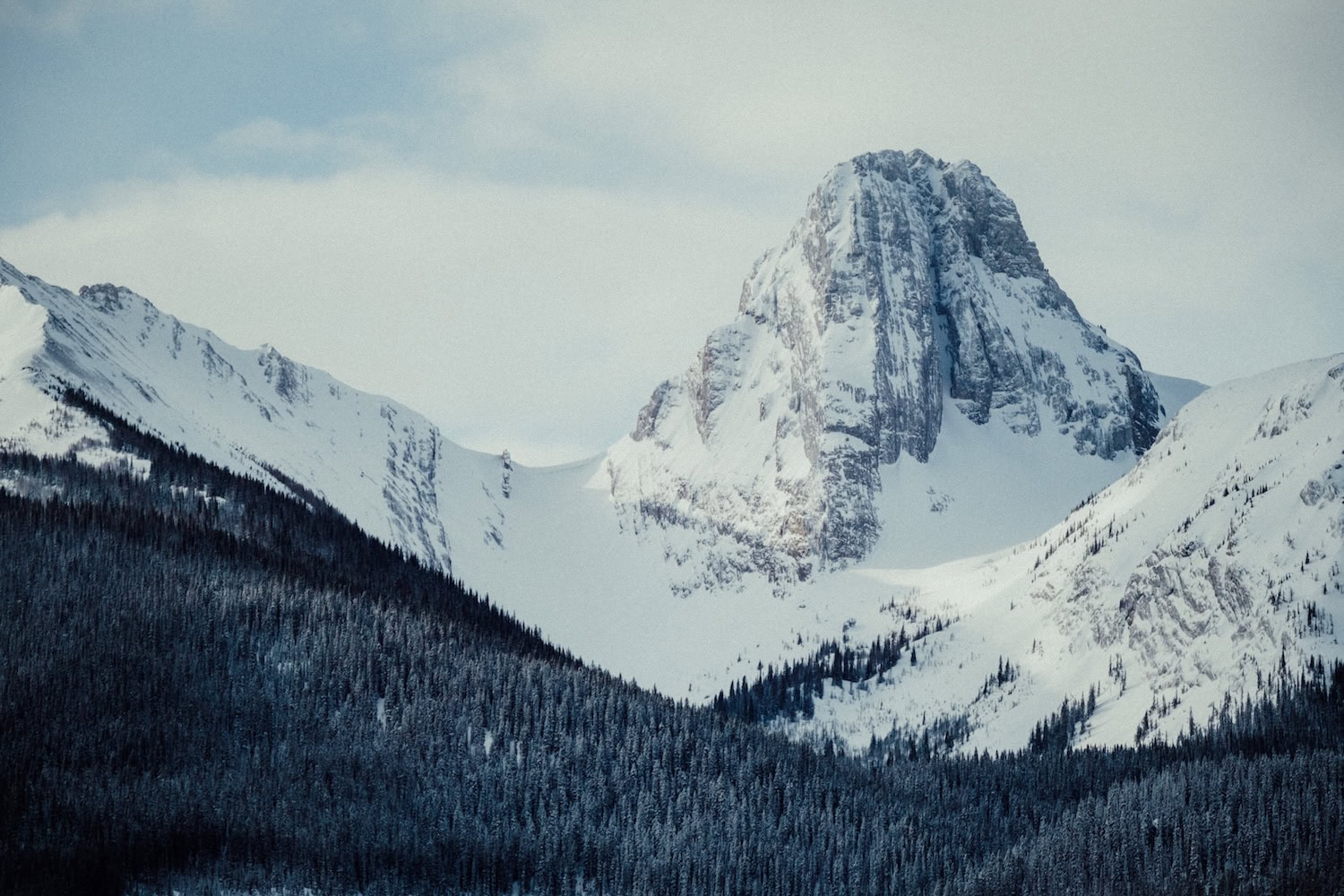 die Berge bei Banff im Winter in Alberta in Kanada