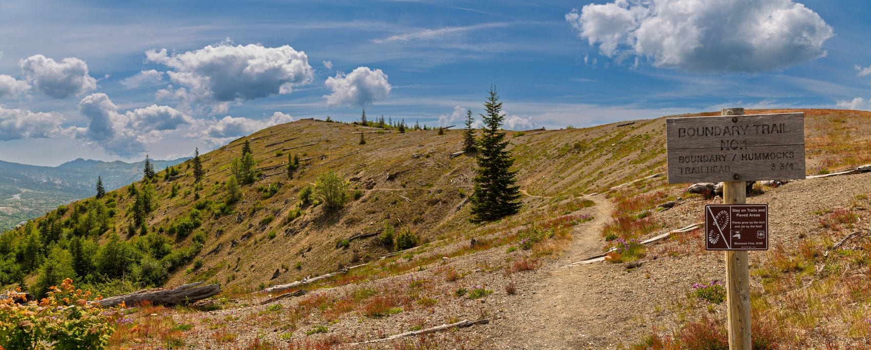 Wanderweg am Boundary Trail im Mount St. Helens National Volcanic Monument mit Hinweisschild zum Schutz der Vegetation.