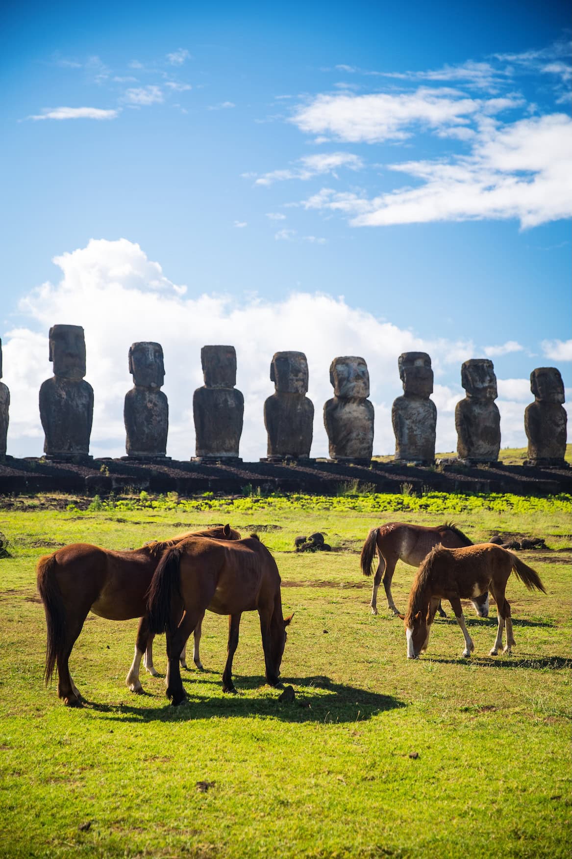 Pferde grasen vor der Reihe der Moai-Statuen am Ahu Tongariki im Nationalpark Rapa Nui, Osterinsel in Chile.