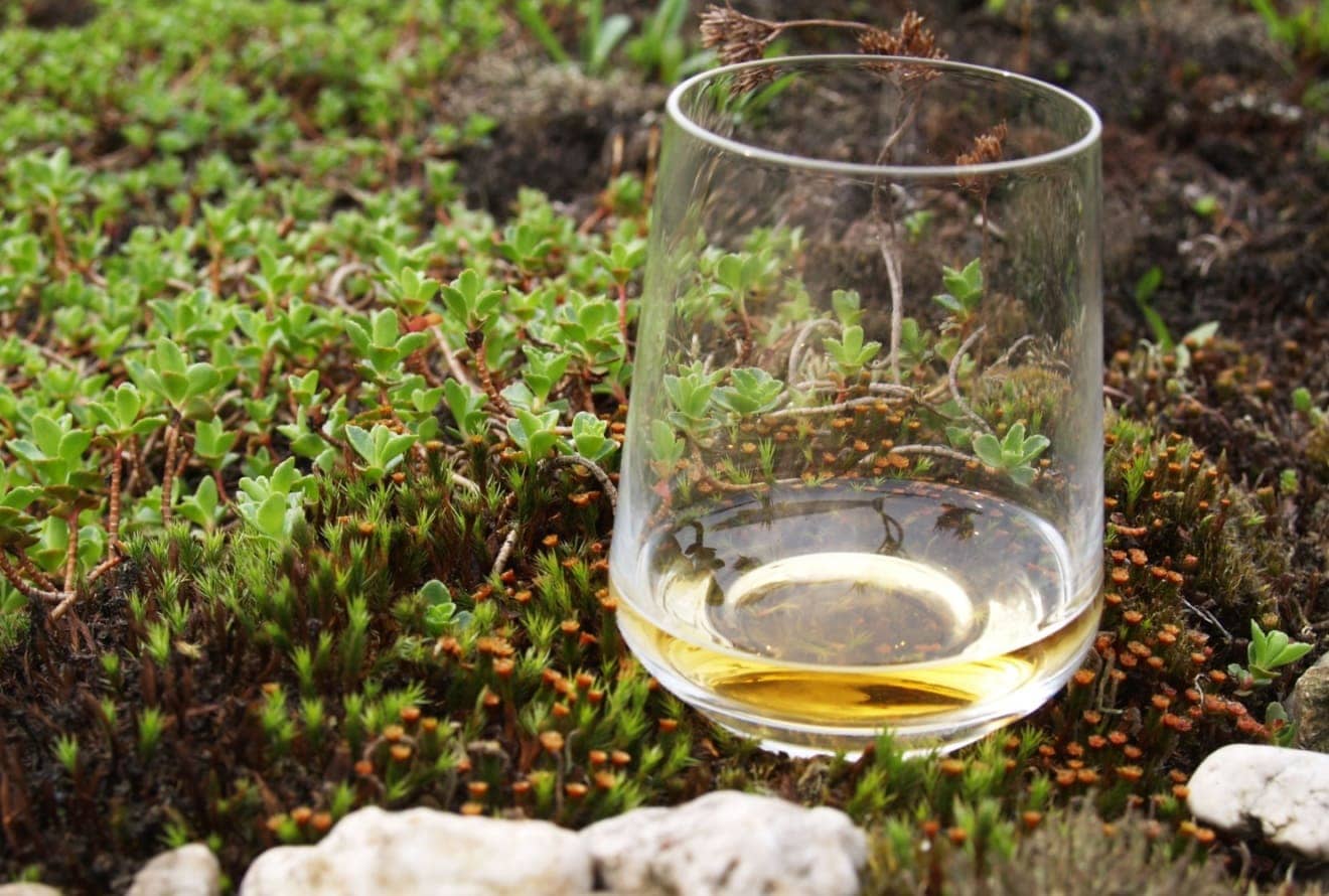 Glas Whisky in der Natur
