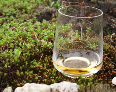 Glas Whisky in der Natur