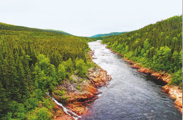 Fluss in Neufundland-Labrador