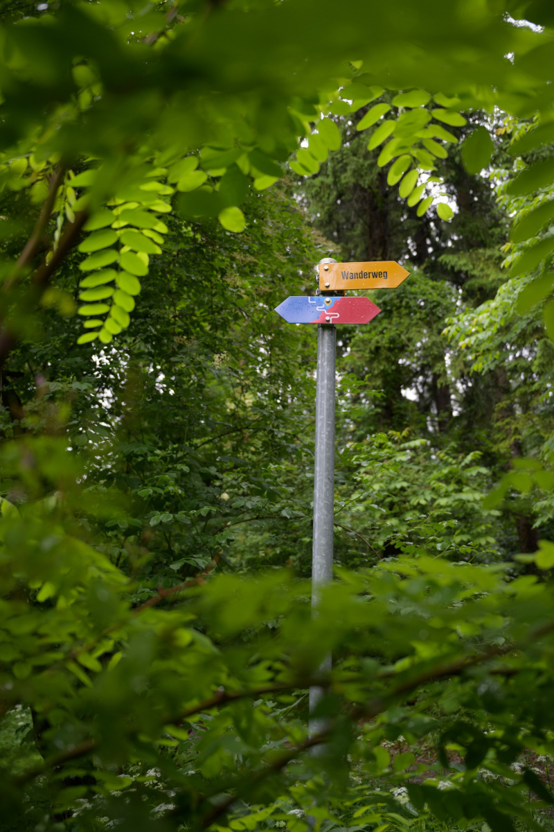 Liechtensteiner-Weg Schild im Wald